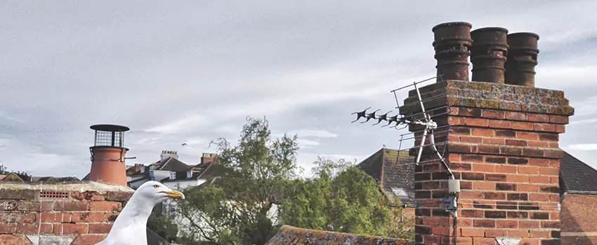 Chimney Cleaning And Restoration in Onalaska, Wisconsin